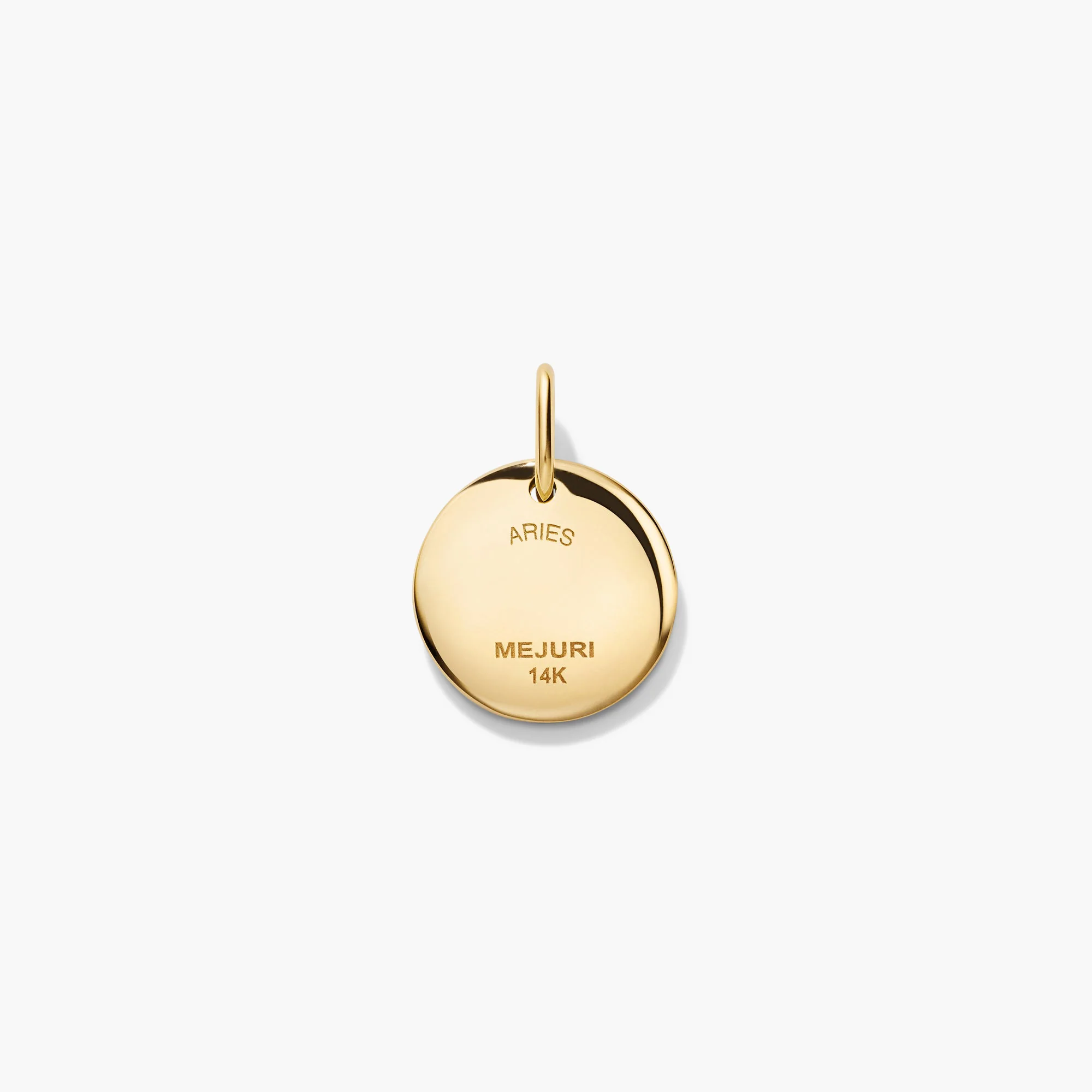 Zodiac Charm Pendant - Image 14